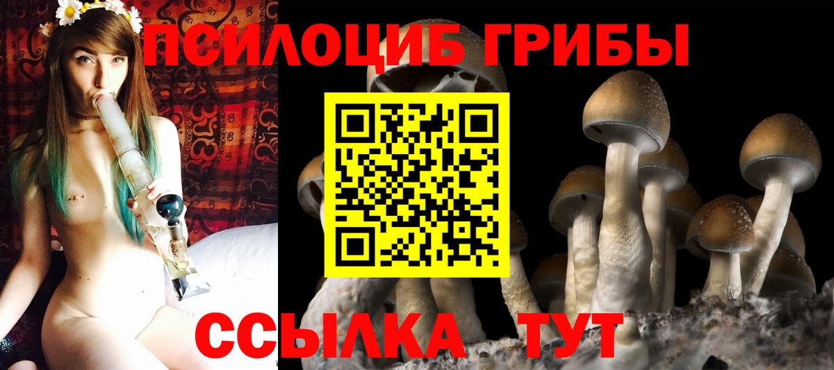 Псилоцибиновые грибы MAGIC MUSHROOMS Калуга